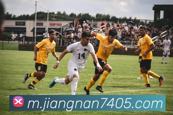 App Interface Preview